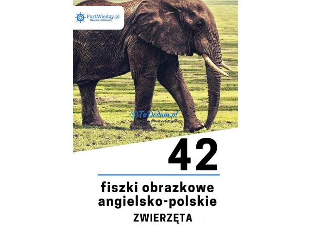42 fiszki obrazkowe angielsko-polskie: Zwierzęta