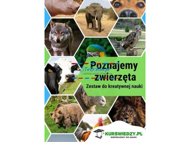 Poznajemy zwierzęta. Zestaw do kreatywnej nauki