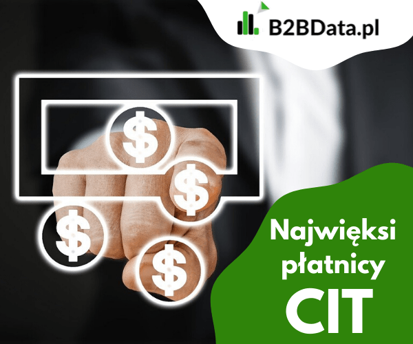 Najwięksi Podatnicy CIT