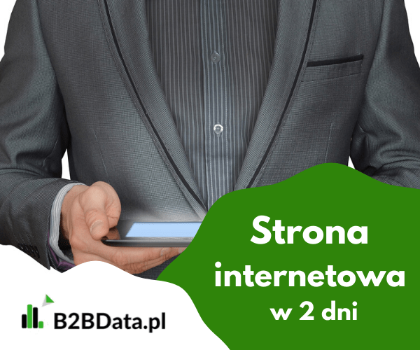 Responsywna strona internetowa + bonusy