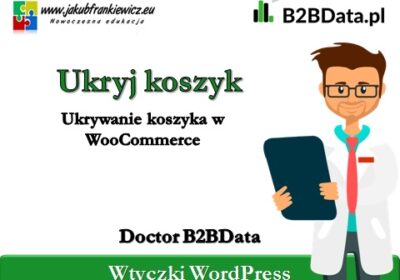ukryj_koszyk_b2bdata-1