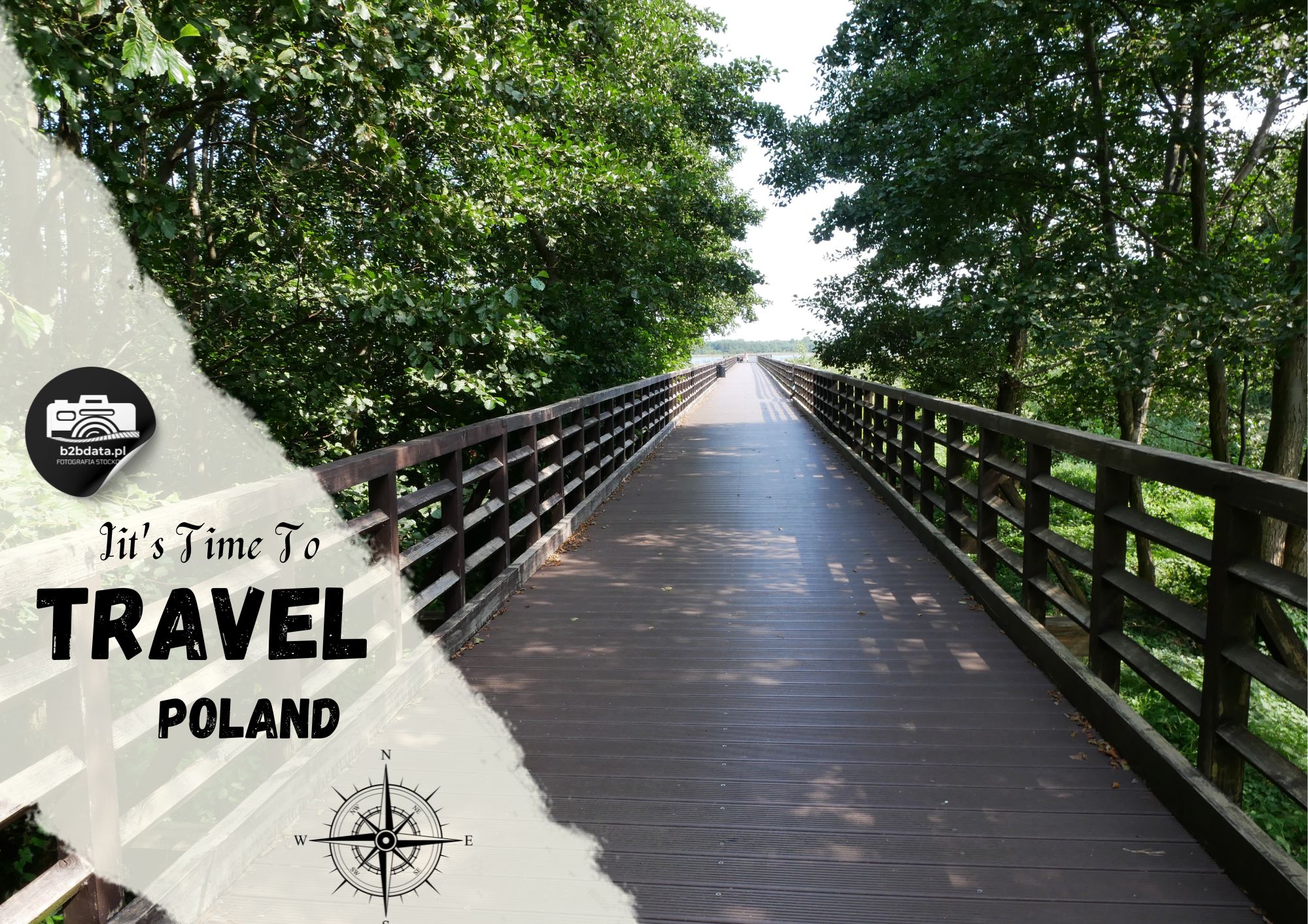 Rezerwat przyrody „Słone Łąki” we Władysławowie – Plakat do samodzielnego wydrukowania