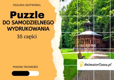 Pijalnia-Slotwnika-Puzzle