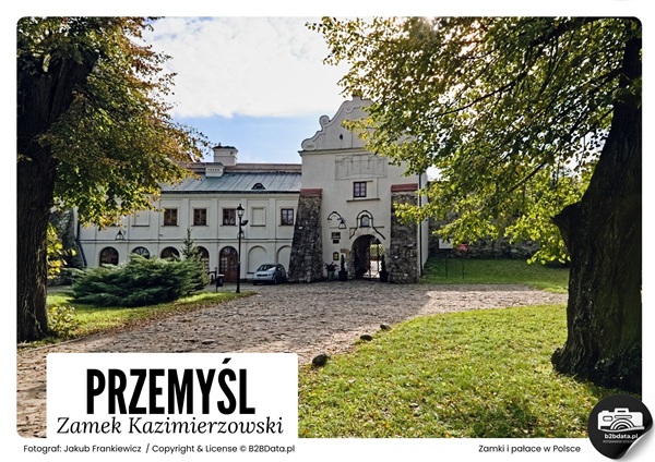 Przemyśl. Zamek Kazimierzowski – Plakat do samodzielnego wydrukowania