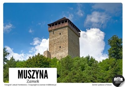 Zamek-w-Muszynie-–-Plakat-do-samodzielnego-wydrukowania