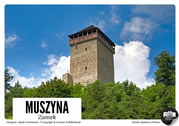 Zamek w Muszynie – Plakat do samodzielnego wydrukowania