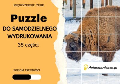 Miedzyzdroje-Zubr-Puzzle-do-wydruku