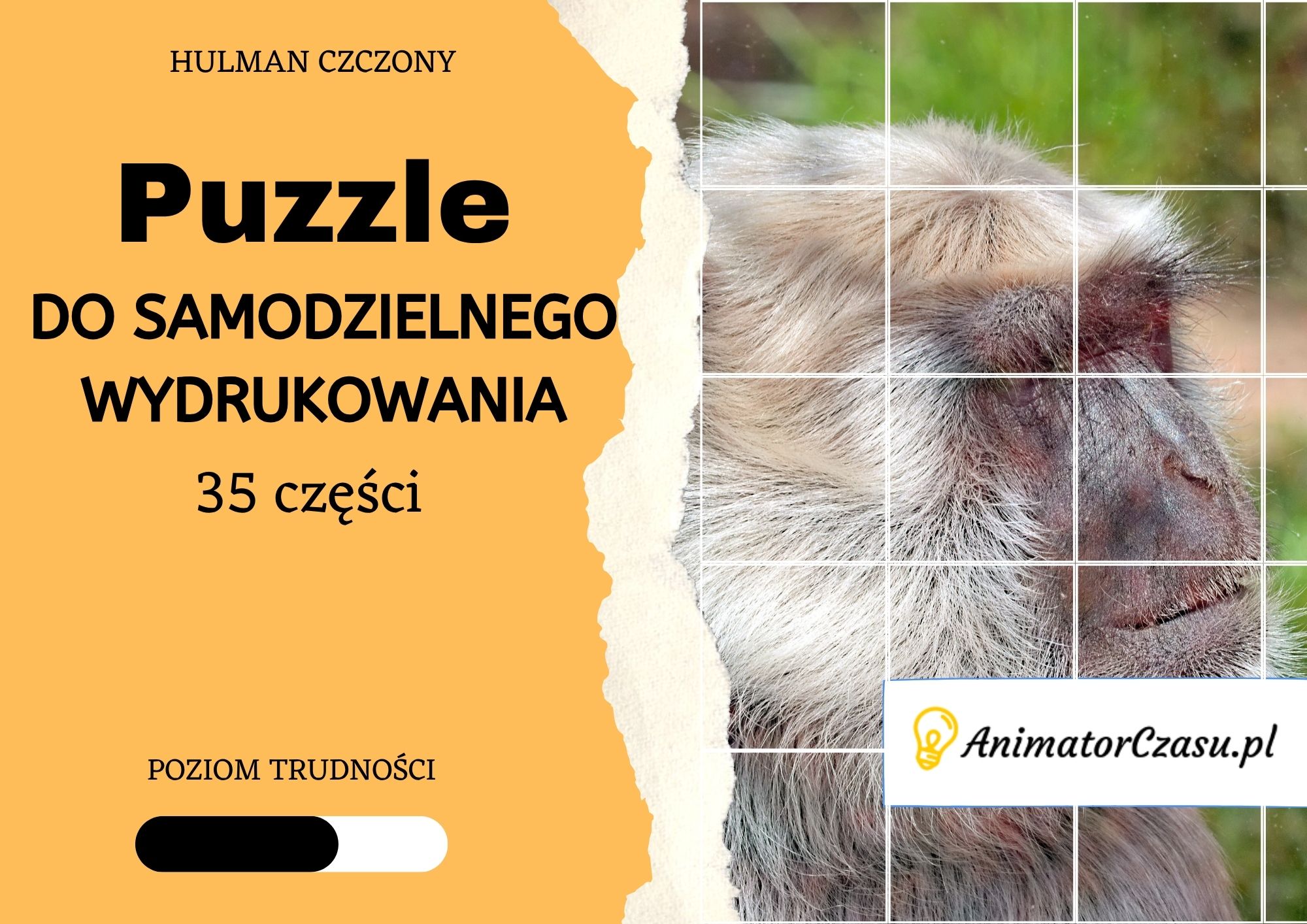 Hulman czczone – Puzzle do wydruku