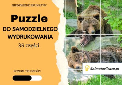 Niedzwiedz-brunatny-Puzzle-do-wydruku
