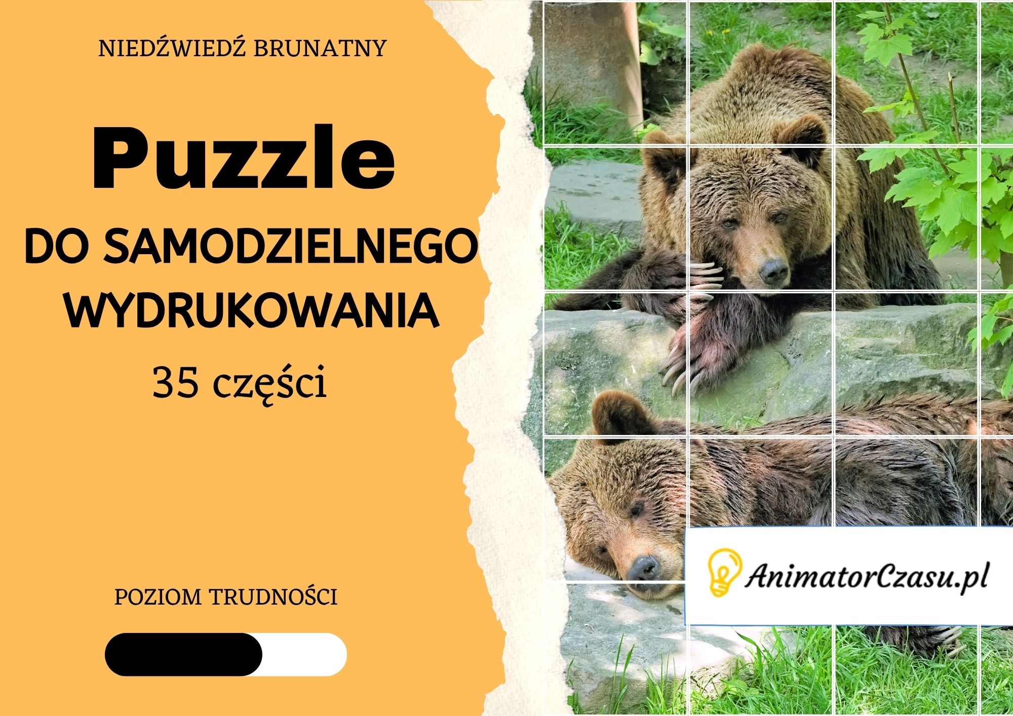 Niedźwiedź brunatny – Puzzle do wydruku