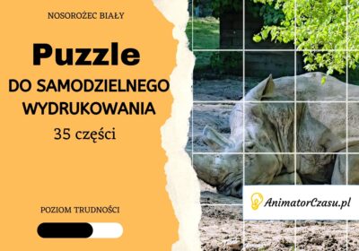 Nosorozec-bialy-Puzzle-do-wydruku