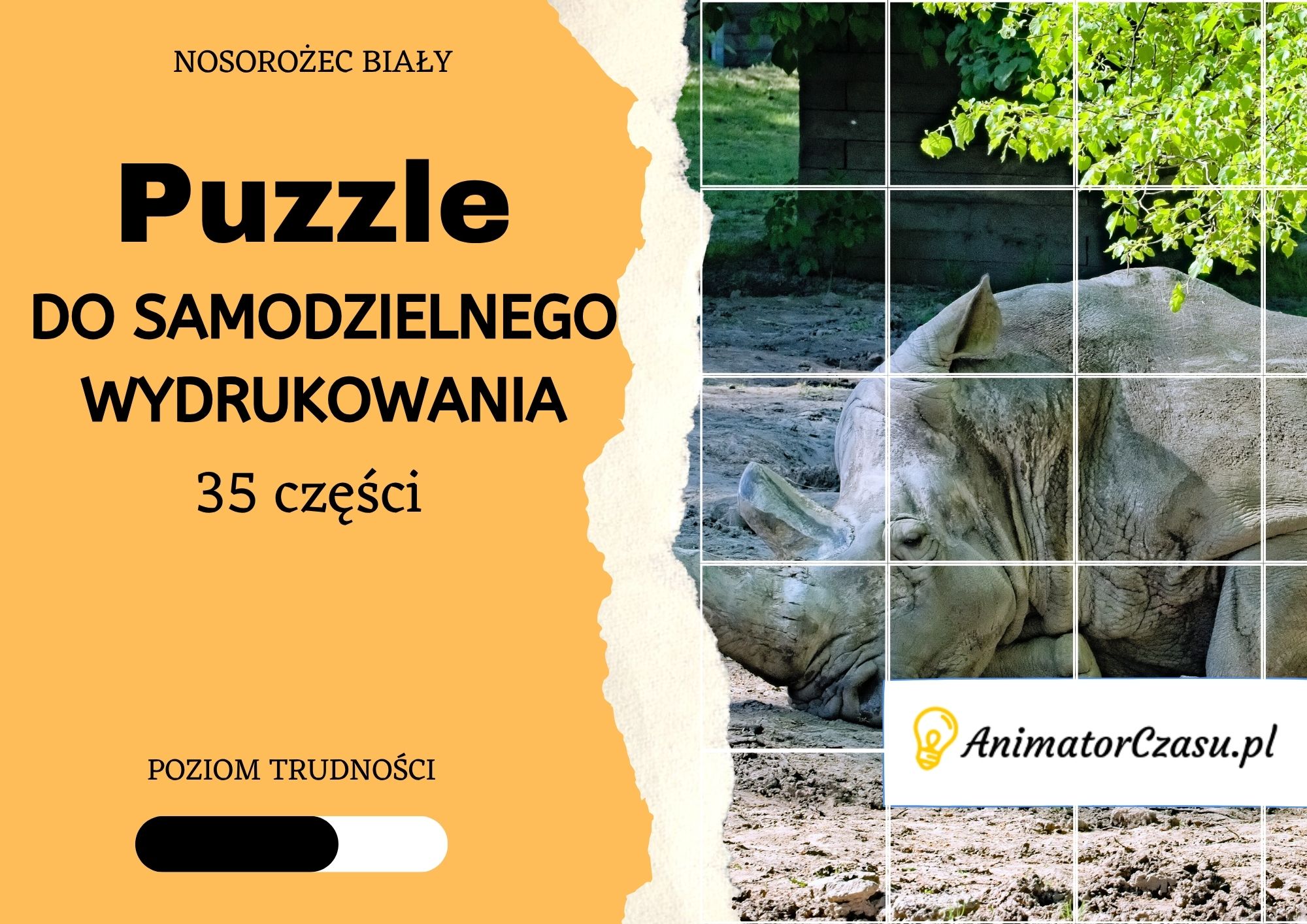 Nosorożec biały – Puzzle do wydruku