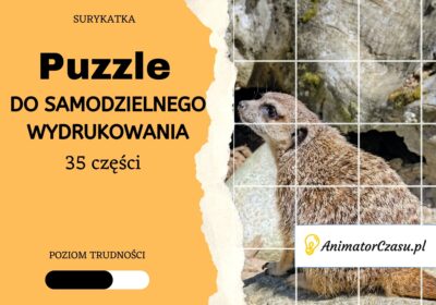 Surykatka-Puzzle-do-wydruku