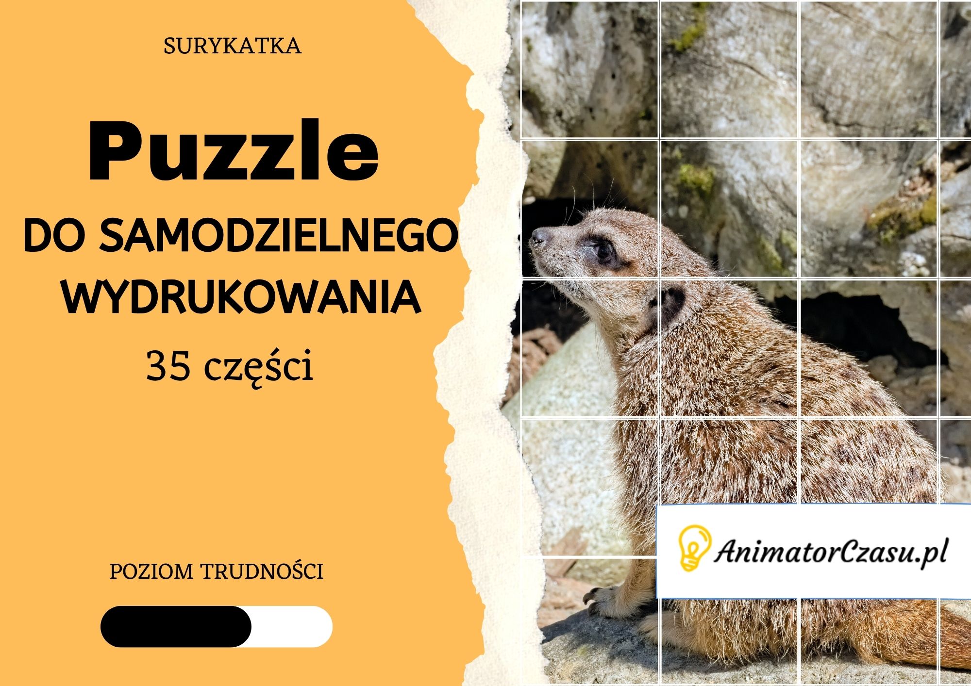Surykatka – Puzzle do wydruku
