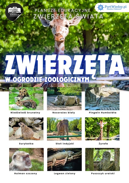 Zwierzęta w ZOO – Plansza edukacyjna cz.1