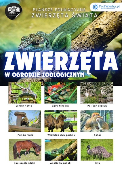 Zwierzęta w ZOO – Plansza edukacyjna cz.2