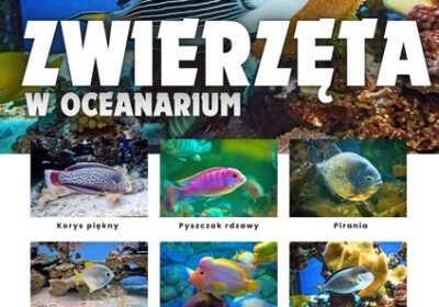 Zwierzeta-w-oceanarium-–-Plansza-edukacyjna