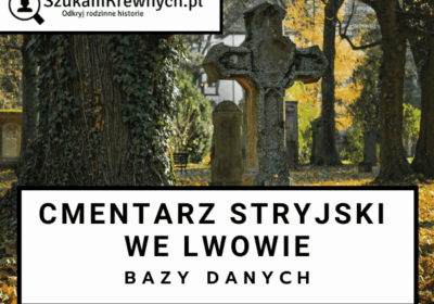 cmentarz_stryjski_aml
