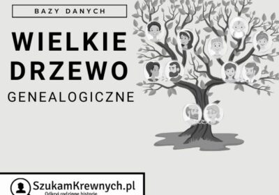 szukamkrewnych-wielkie-drzewo