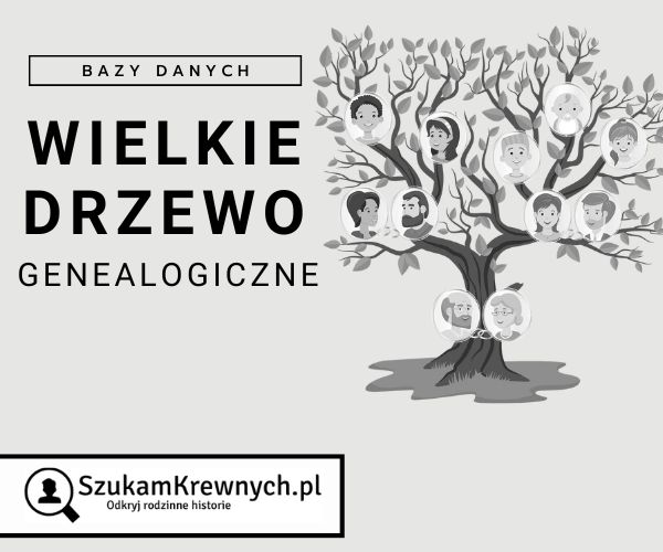 Wielkie drzewo genealogiczne – SzukamKrewnych.pl