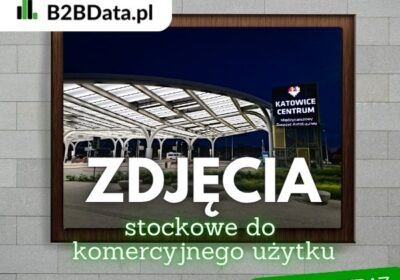 zdjecia-stockowe