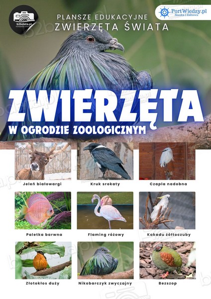 Zwierzęta w ZOO – Plansza edukacyjna cz.3
