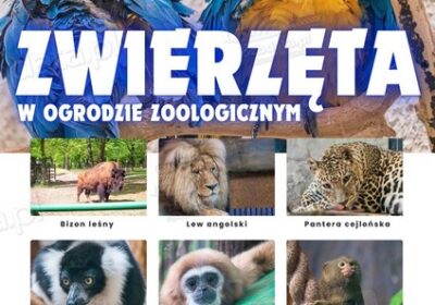 Zwierzeta-w-ZOO-–-Plansza-edukacyjna-cz.4