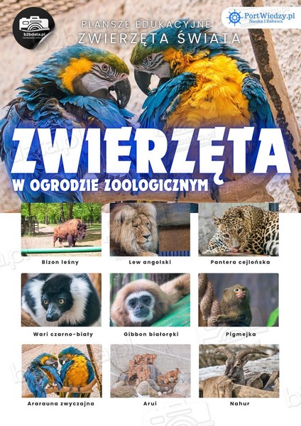 Zwierzęta w ZOO – Plansza edukacyjna cz.4