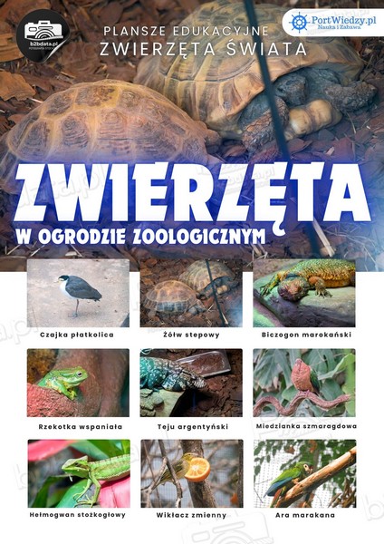 Zwierzęta w ZOO – Plansza edukacyjna cz.5