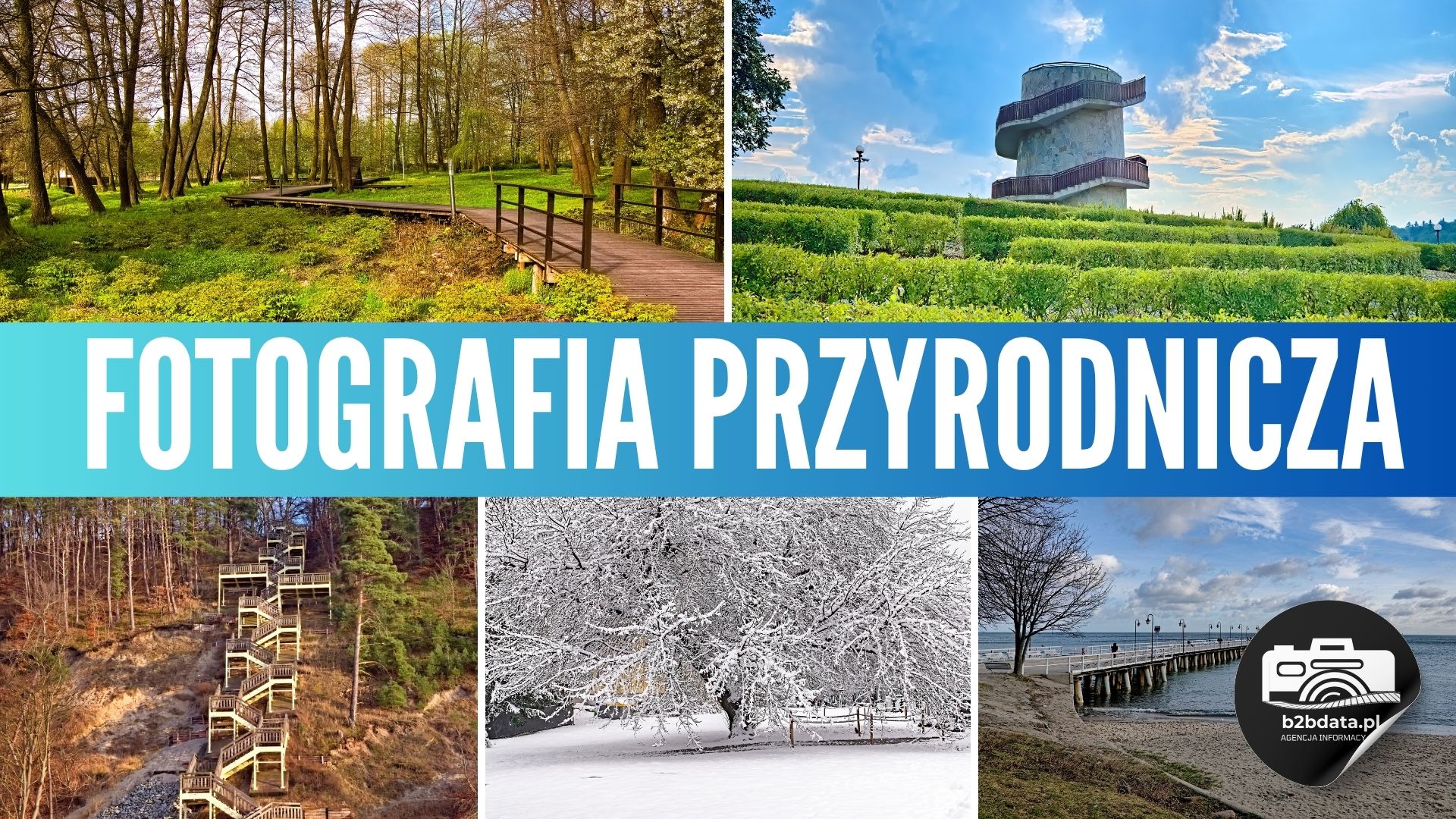 Fotograf przyrody Rzeszów i Podkarpacie – zdjęcia krajobrazów i plenerów